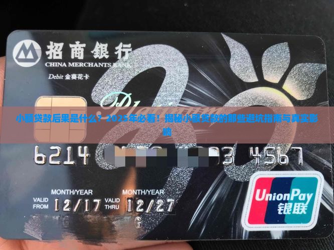 小额贷款后果是什么
