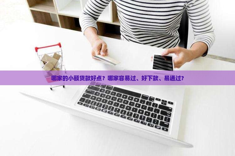 哪家的小额贷款好点