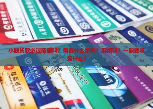 小额贷款必过