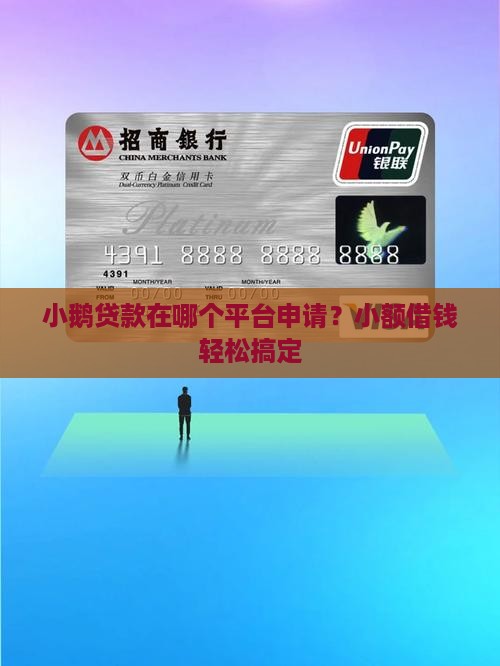 小鹅贷款在哪个平台申请