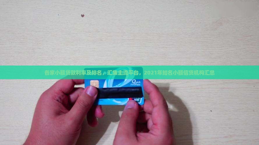各家小额贷款