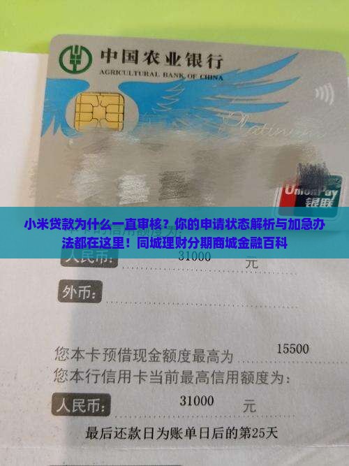 小米贷款为什么一直审核