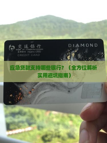 应急贷款支持什么银行