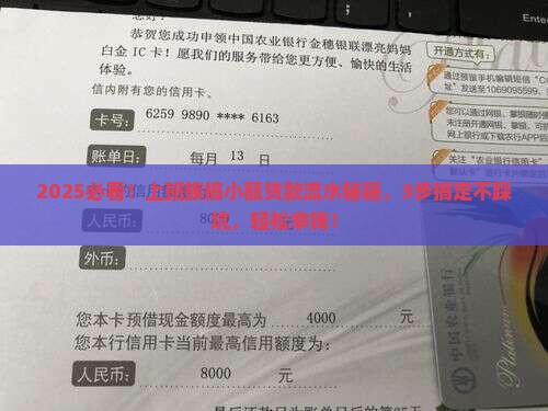 小额贷款怎么弄流水