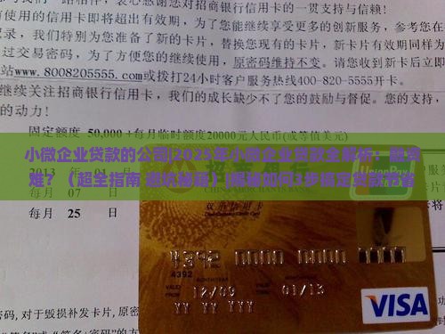 小微企业贷款的公司