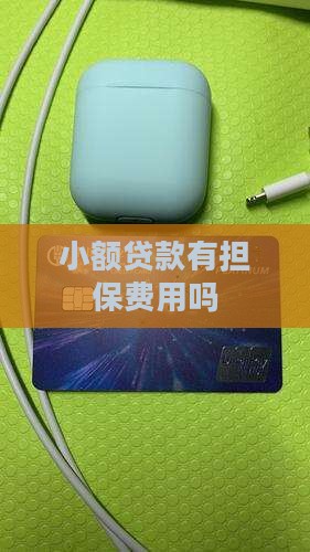 小额贷款有担保费用吗