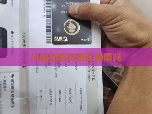 小额贷款有担保费用吗