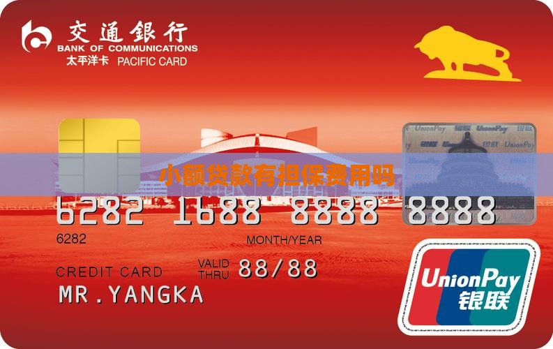 小额贷款有担保费用吗