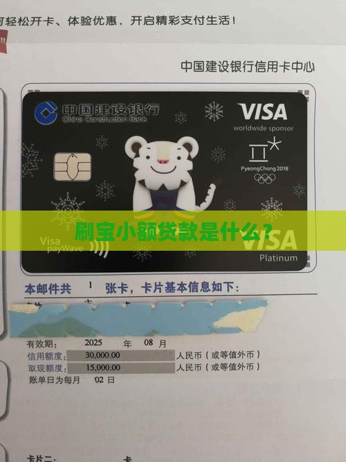 刷宝小额贷款是什么