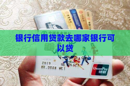 哪家银行可以贷信用贷款