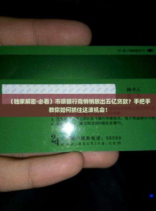 市级银行贷款五亿