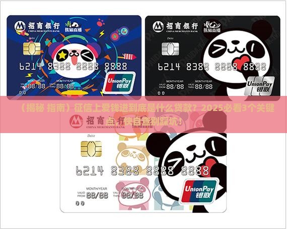 征信上爱钱进是什么贷款