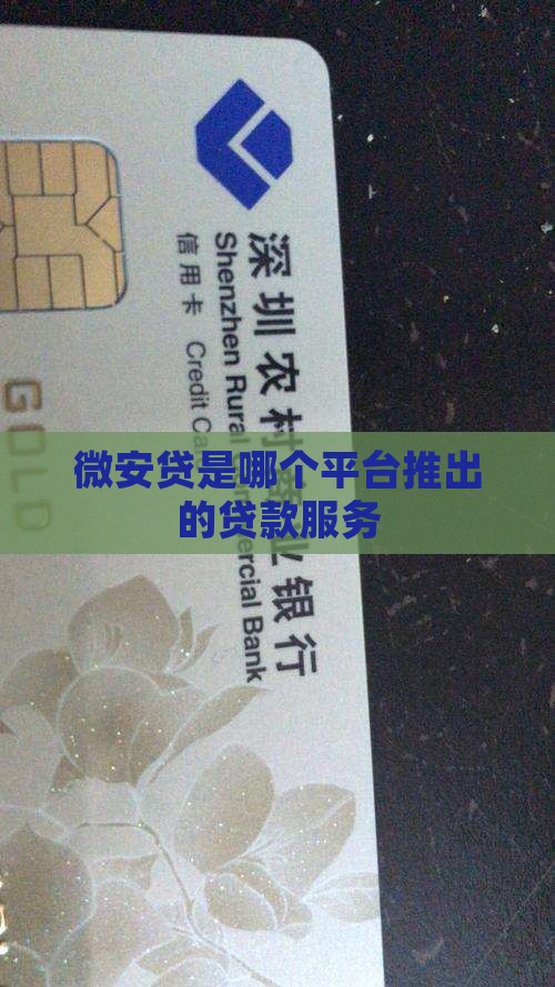 微安贷是哪个平台的贷款
