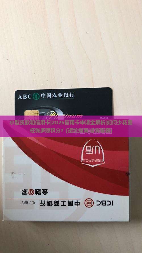 小型贷款和信用卡
