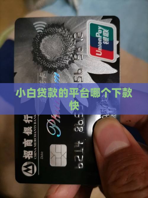 小白贷款的平台叫什么