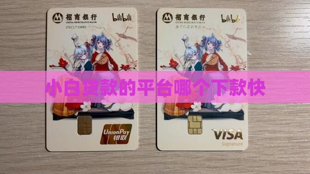 小白贷款的平台叫什么