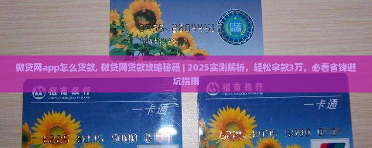 微贷网app怎么贷款