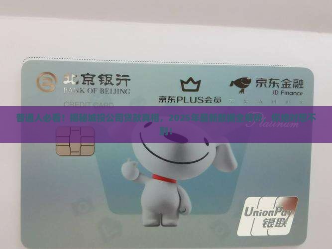 城投公司有多少贷款