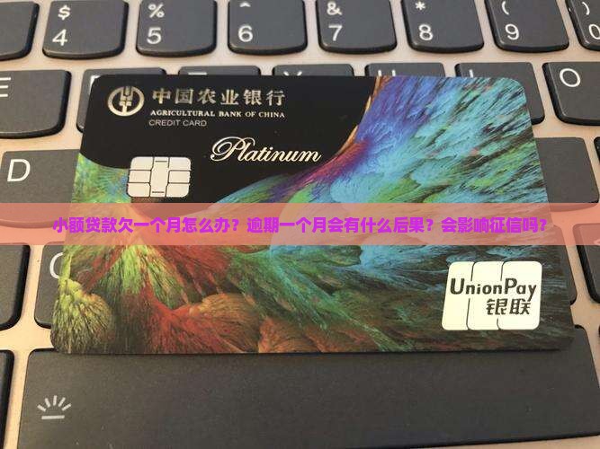 小额贷款欠一个月