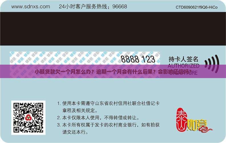 小额贷款欠一个月