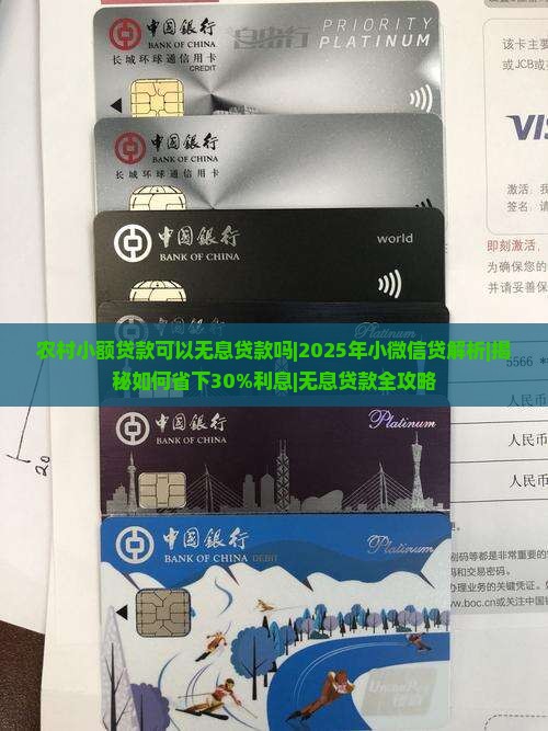 农村小额贷款可以无息贷款吗