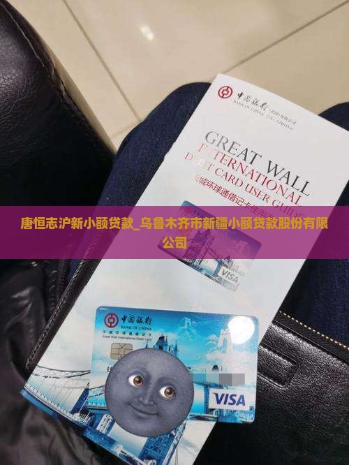 唐恒志沪新小额贷款