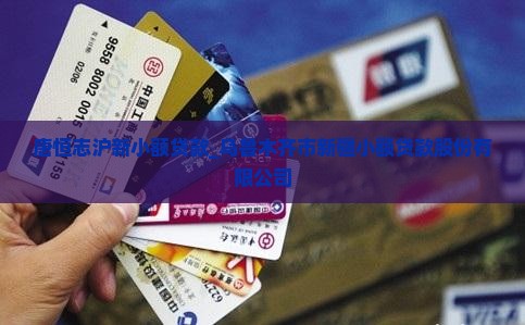 唐恒志沪新小额贷款