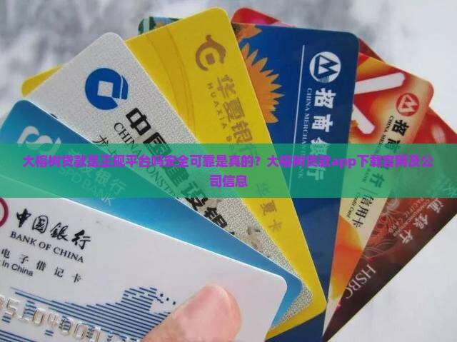 大榕树贷款是正规平台吗