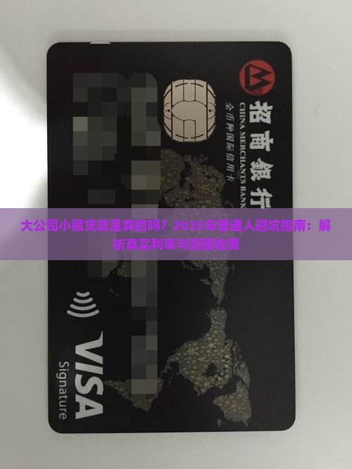 大公司小额贷款是真的吗