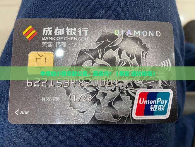 孝感市中润小额贷款