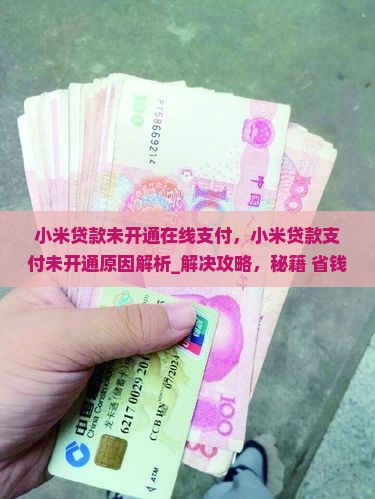 小米贷款未开通在线支付