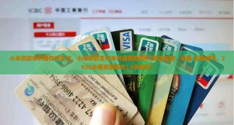 小米贷款未开通在线支付