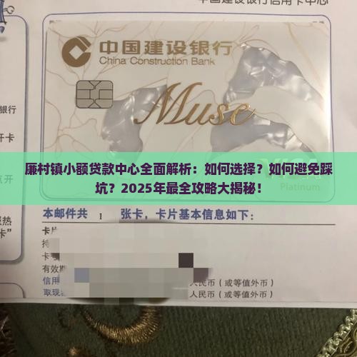 廉村镇小额贷款中心