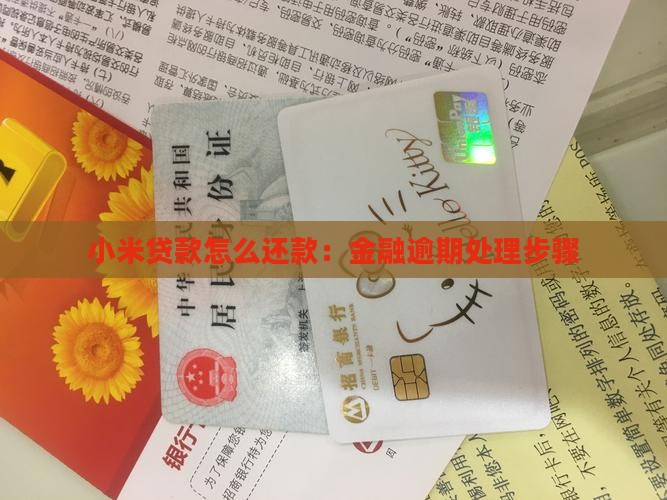 小米贷款网页还款步骤