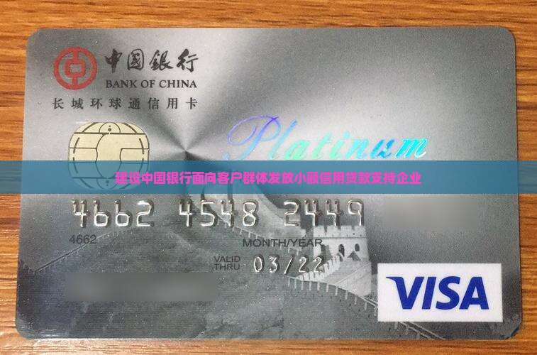 建设小额信用贷款
