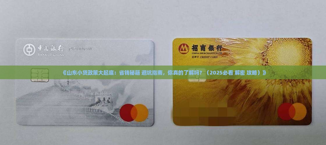 山东省小额贷款政策