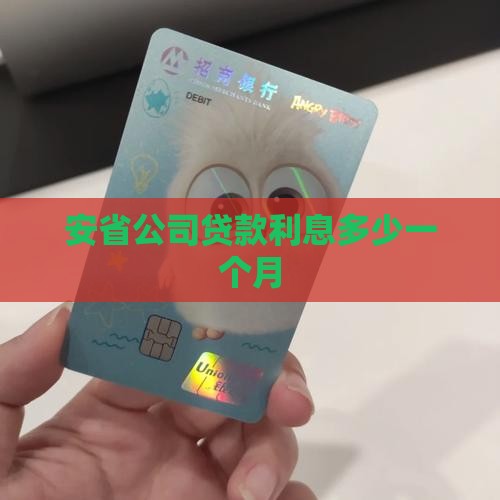 安省公司贷款利息多少一个月