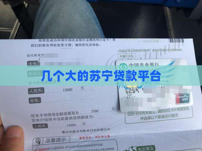 几个大的苏宁贷款平台