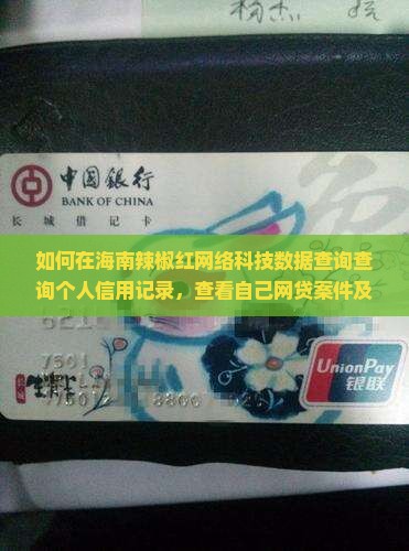 如何在海南辣椒红网络科技数据查询查询个人信用记录，查看自己网贷案件及失信信息，识别贷款风险