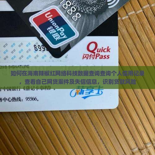 如何在海南辣椒红网络科技数据查询查询个人信用记录，查看自己网贷案件及失信信息，识别贷款风险