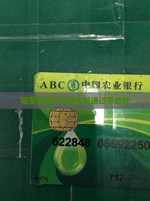 哪里贷款口子最多易通过平台好