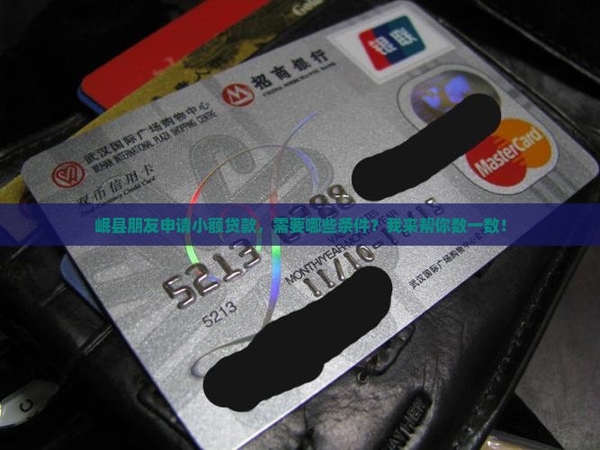 岷县朋友申请小额贷款，需要哪些条件？我来帮你数一数！