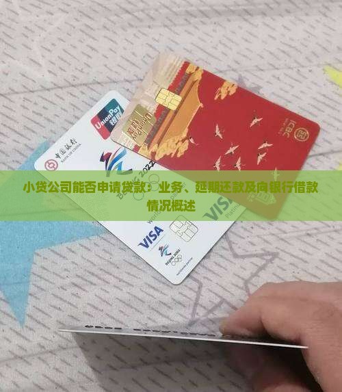 小贷公司能否申请贷款：业务、延期还款及向银行借款情况概述