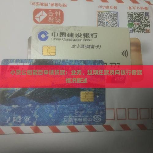 小贷公司能否申请贷款：业务、延期还款及向银行借款情况概述