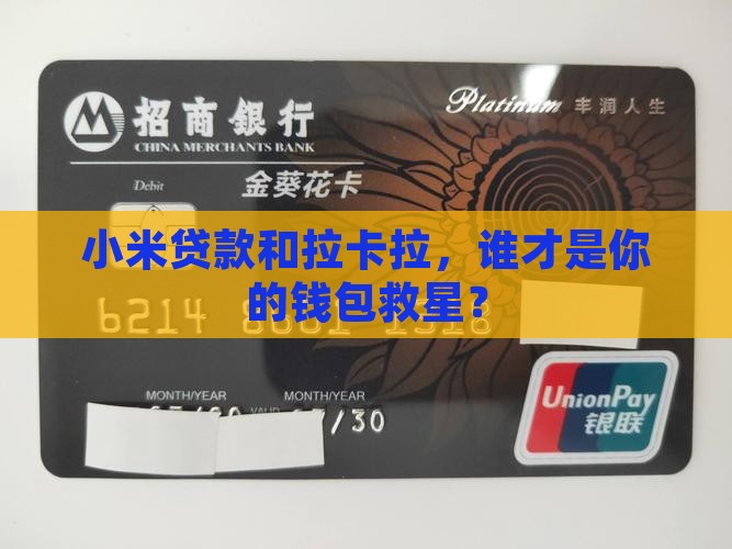 小米贷款和拉卡拉，谁才是你的钱包救星？