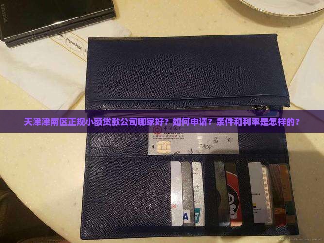 天津津南区正规小额贷款公司哪家好？如何申请？条件和利率是怎样的？