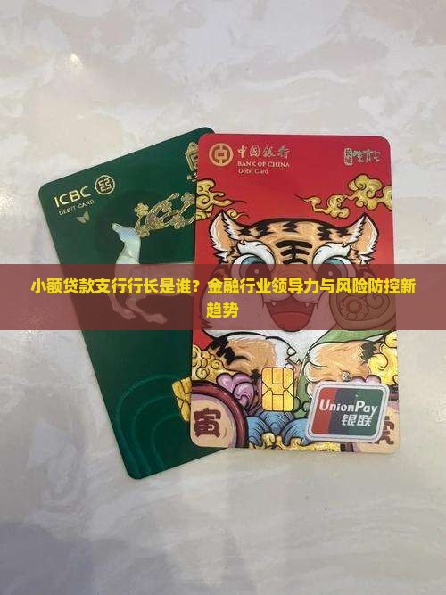 小额贷款支行行长是谁？金融行业领导力与风险防控新趋势