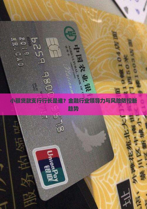小额贷款支行行长是谁？金融行业领导力与风险防控新趋势