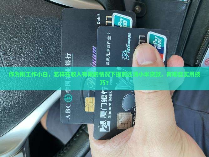 作为刚工作小白，怎样在收入有限的情况下提前还清小米贷款，有哪些实用技巧？