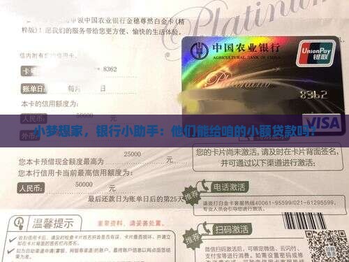 小梦想家，银行小助手：他们能给咱的小额贷款吗？